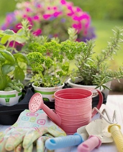 planting tools and plants