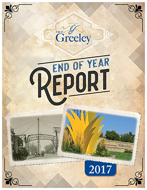 17-End-of-Year-Report_Cover