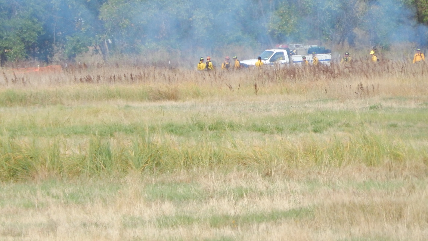 A group of fire fighters in yellow jackets and helmet and a white truck observe a fire in a grassy field with smoke