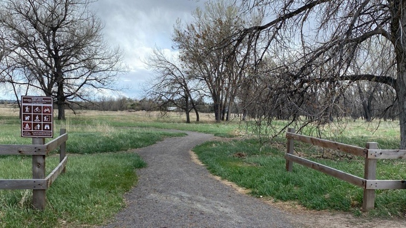 A dirt trail with brown gass on either side and leafless trees in the background