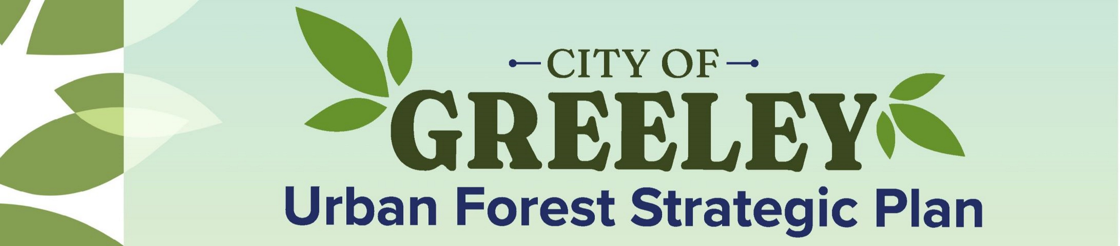 decorative graphic with green leaves and the words "City of Greeley Urban Forest Strategic Plan."