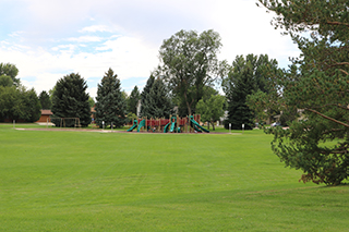 green grass with playground in background