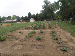 Plumb-Farm-Community-Garden