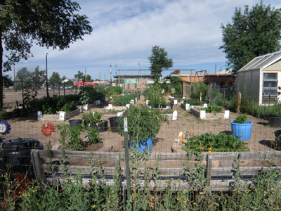 Clay-Center-Community-Garden