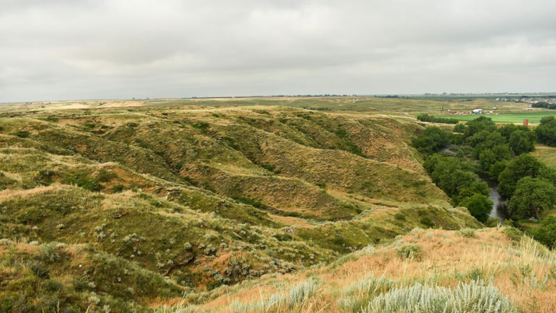 Green and brown prairie expanse with steep arroyos, a river running through it with full green trees and a gray cloudy sky.