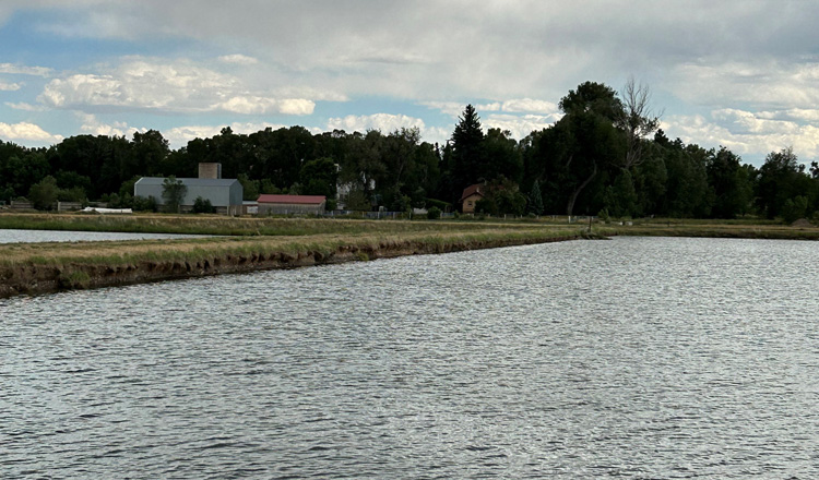 Overland Trail Ponds