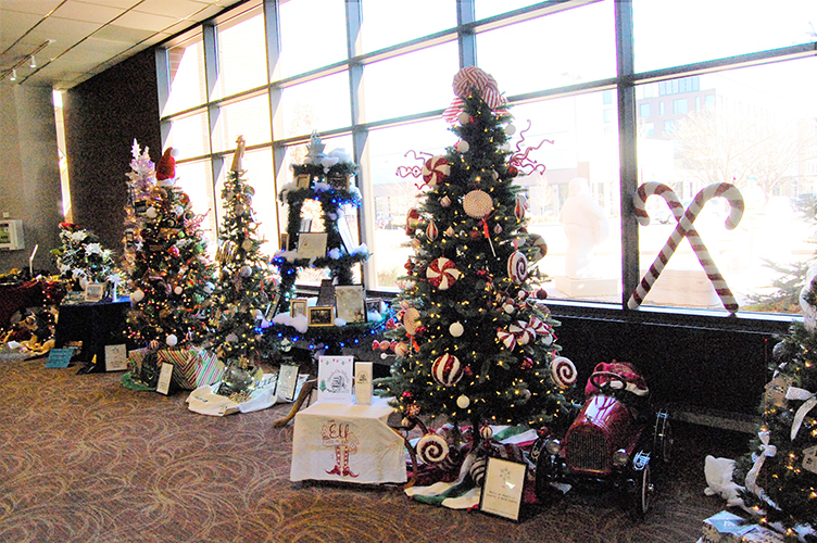 Photo of Christmas trees displayed at Greeley's Festival of Trees