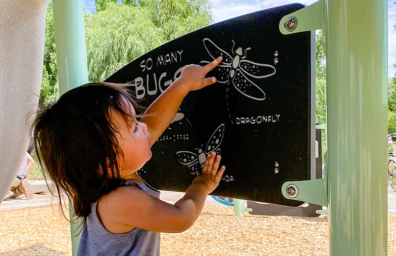 Photo of toddler pointing at bug images on playground sign