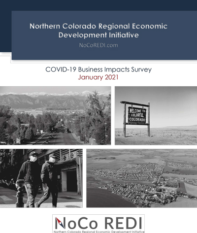 Noco REDI survey report cover