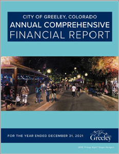 cover image of 2021 report