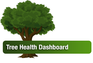 tree health dashboard button