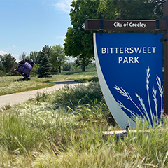 Bittersweet Park
