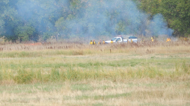 A group of firefighters are positioned near a smoky area in a field with trees in the background.