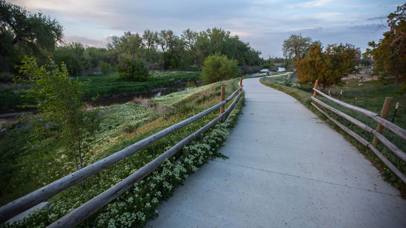 A paved trail along the Poudre River with wood post fencing and plants surrounding it.