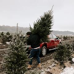 Free Christmas Tree Recycling at GROW Center