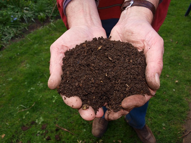 A person with a handful of compost