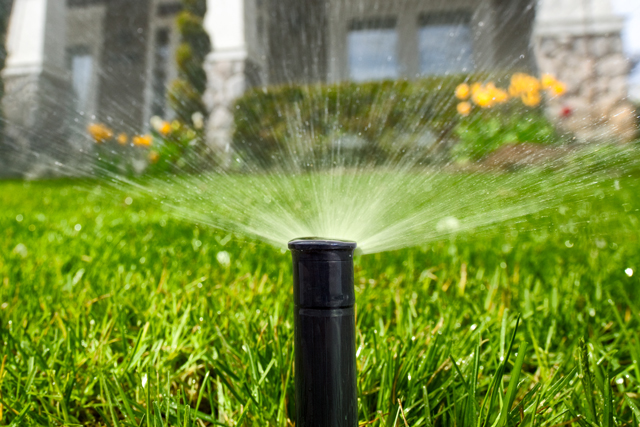 A sprinkler watering a lawn. 