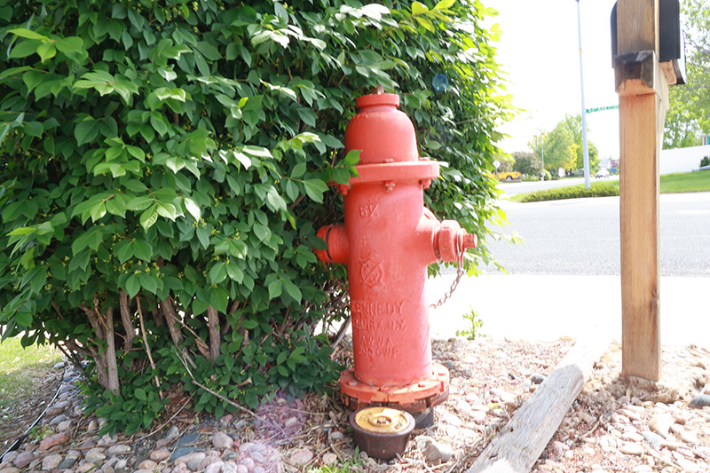 Fire hydrant blocked by tall obstacles
